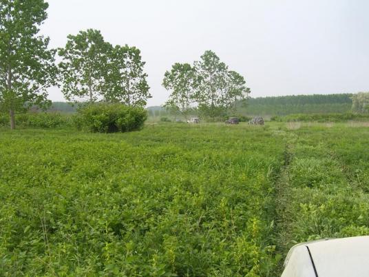 Bagni &amp; Fanghi