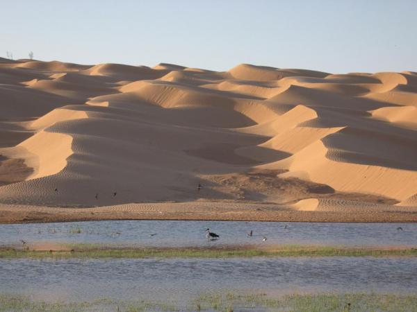 Tunisia - Ain Ouadette