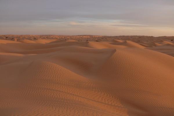 Dune Da Mascalzoni