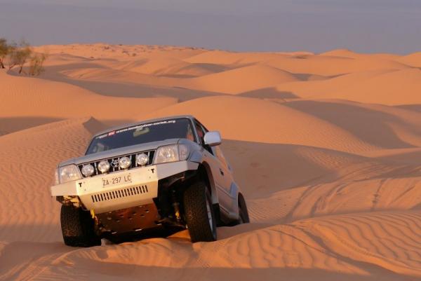 Passeggiando Tra Le Dune