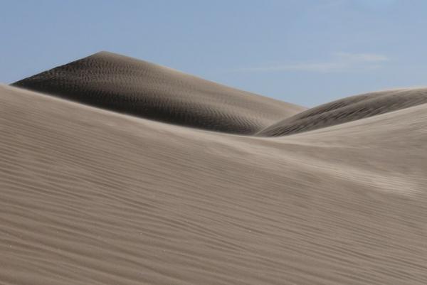 Dune Tunisine