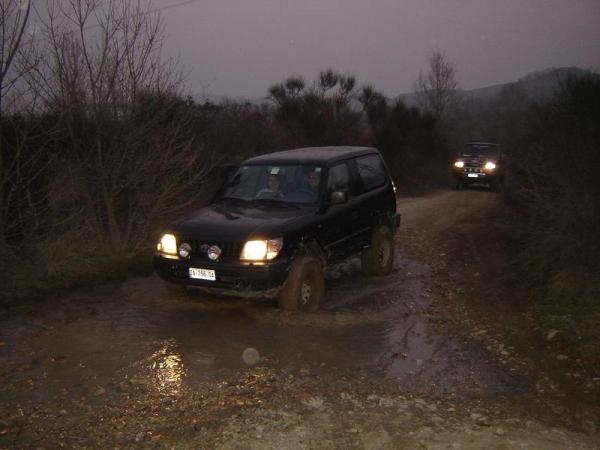 Ricca Che Raffredda Le Gomme