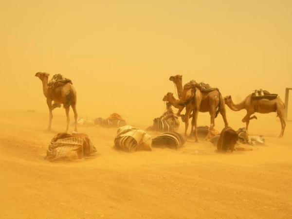 Tunisia 2008: La Via Del Deserto