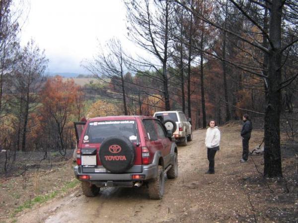 Bosco Di Conifere Di Bussi Incendiato