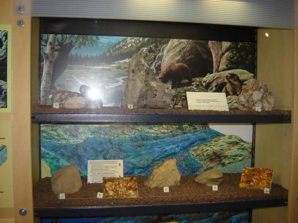 Visita Al Museo Di Paleontologia Di Scontrone