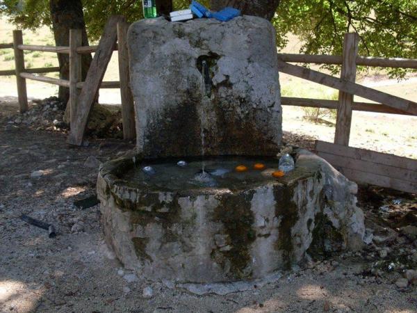 La Fontana Frigo