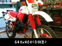 Restauro Xt 600 2kf Del ''90